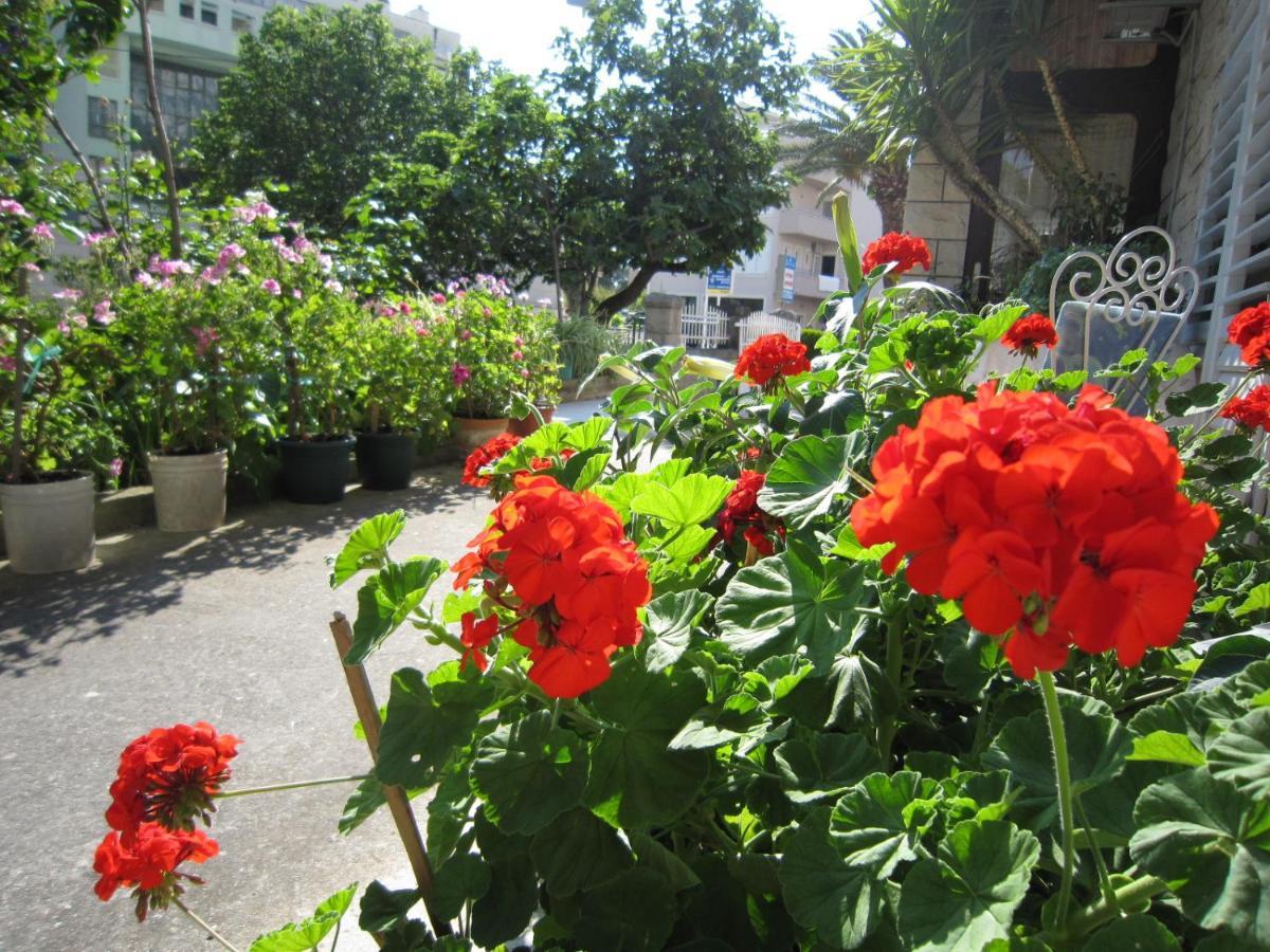 Apartment Apartments Olga 2 *